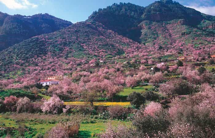 Valsequillo de Gran Canaria